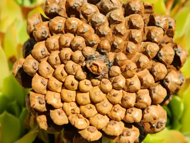 Aura and Chakra Reading and Report, Aurathentic Blog, Manitou Springs, Holistic Wellness Boutique, Aura Photos Aura and Chakra Reading and Report, Aurathentic Blog, Manitou Springs, Holistic Wellness Boutique, Aura Photos
