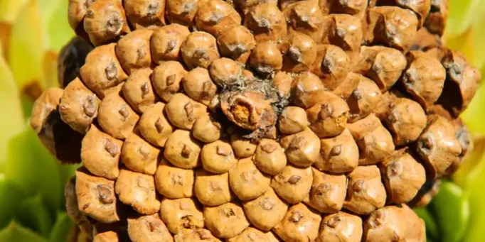 Aura and Chakra Reading and Report, Aurathentic Blog, Manitou Springs, Holistic Wellness Boutique, Aura Photos Aura and Chakra Reading and Report, Aurathentic Blog, Manitou Springs, Holistic Wellness Boutique, Aura Photos